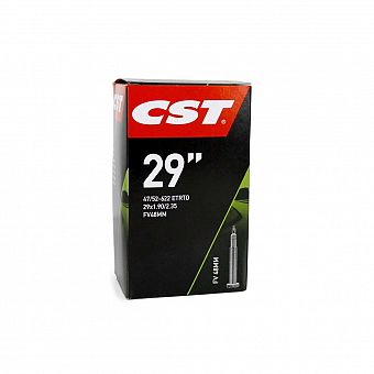 CST 29