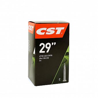 CST 29